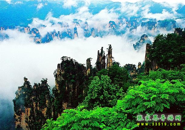 天子山景區(qū)-張家界國(guó)家森林公園